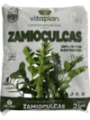 TERRA PARA ZAMIOCULCAS 2 Kg – Com Extrato de Algas Marinhas